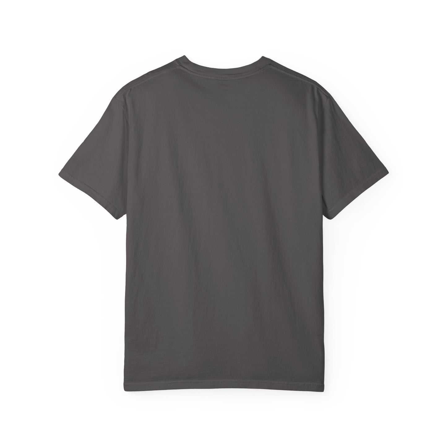 Unisex Garment-Dyed T-shirt Colors No.41